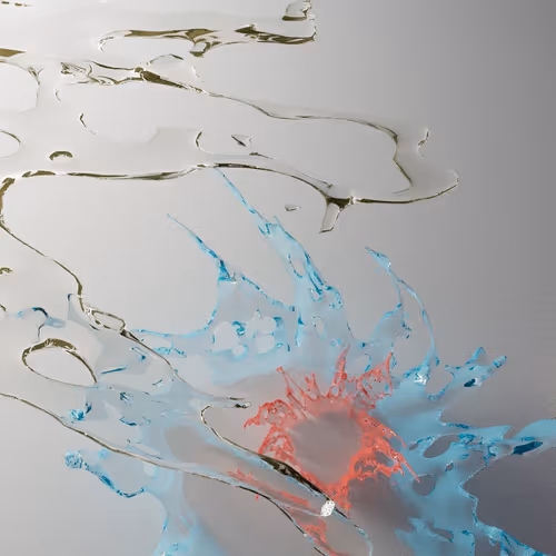 when it rains // flowers - old