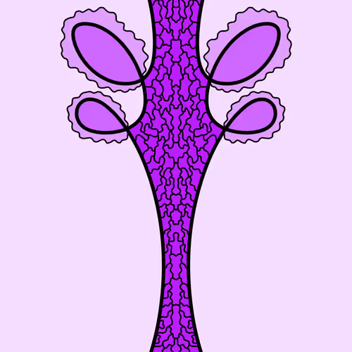 When will vision end