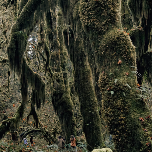 Where Humans Are Small