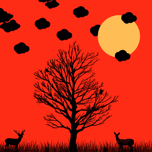 Where Is Collections