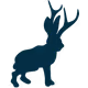 Where the Jackalope Roam