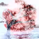 WHIMSICAL ART CELEBRATIONS COLLECTION