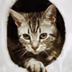 Whimsical cat - old
