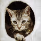 Whimsical cat
