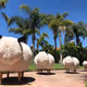 Whimsical Sheep Collection