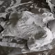 white art can be cruel - old