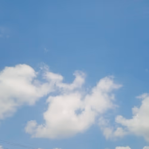 whiteesky