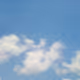 whiteesky