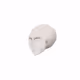 White Head
