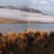 Wholesome New Zealand
