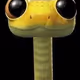 whooping snake