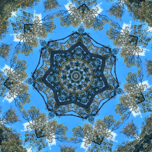 kaleida Scapes