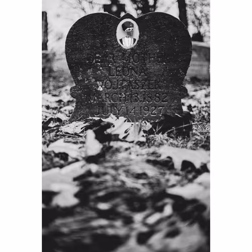 Wicked Cemetery Photography Remix - old