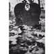 Wicked Cemetery Photography Remix - old