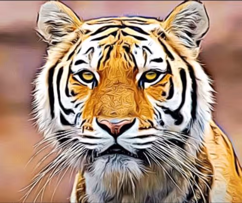 Wild Animals / my first project