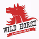 W I L D HORSE