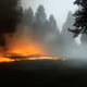 WILDFIRE APOCALYPSE 3D.V1 - [COLLECTIBLE NFTS.15]