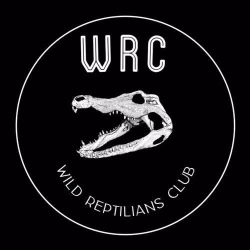 Wild Gator's