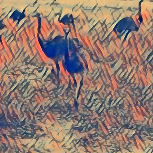 wildlife - authentic