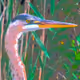 Wildlife Vibes