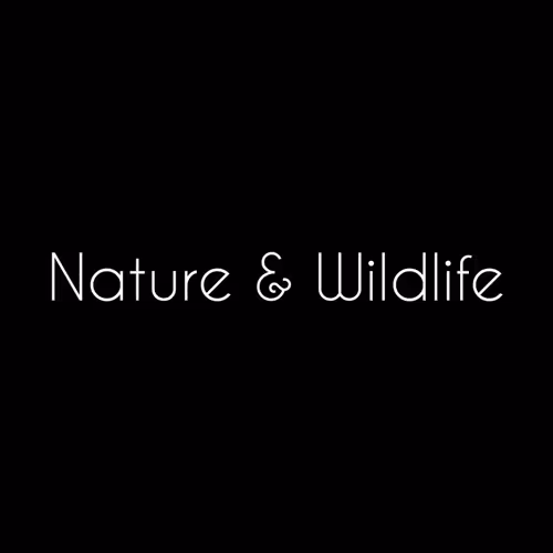 Nature - Wildlife