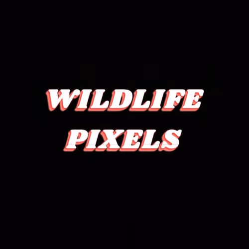 Wildlife Pixels