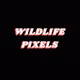 Wildlife Pixels