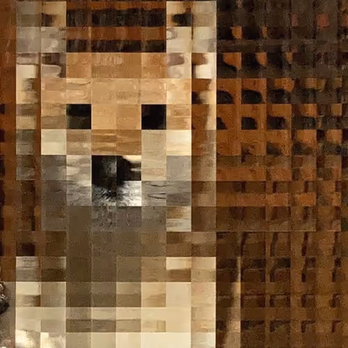 Window Doge