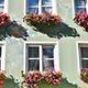 Windows EveryWhere - old