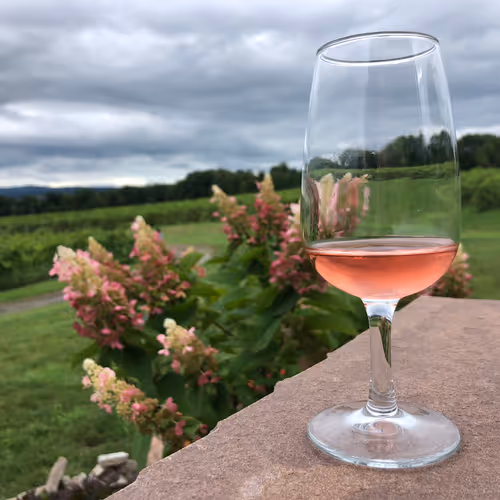 Wine in a Vineyard