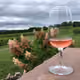 Wine in a Vineyard