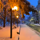Winter in March