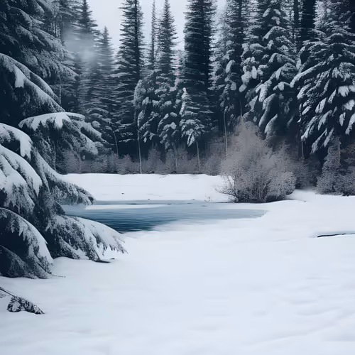 Winter Odyssey by Richie Diamond