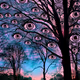 Winter Eye Tree