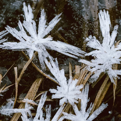 Winter Frost by Sami Paju