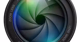 winter black and white flower collection - old