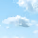 With The Sky
