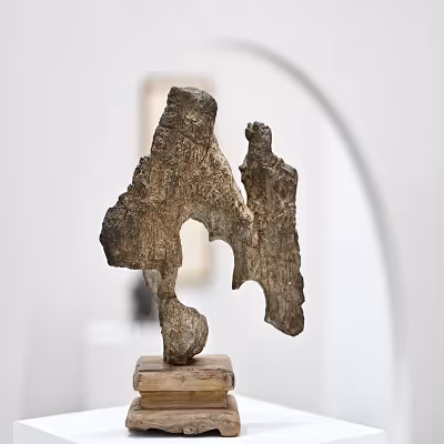 wojiusuibianshiyixia