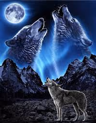 Wolf fans