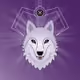 Wolf Head