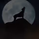 Wolf Quest - old