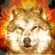 Wolf Spirited
