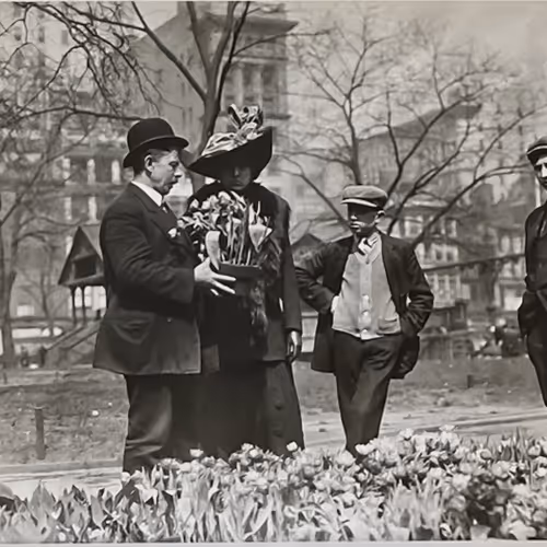 Woman Purchasing Tulips