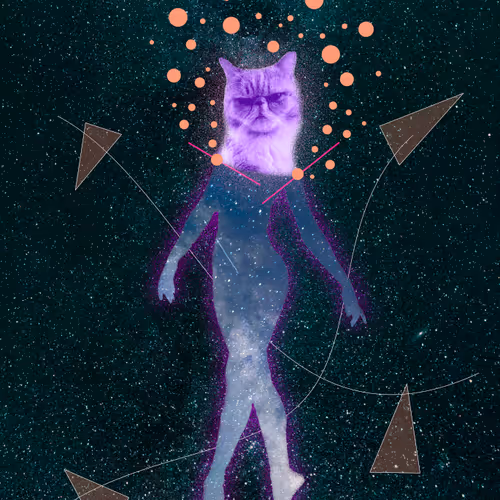 WomanVerse
