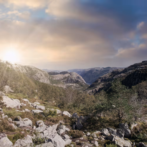 Wonderfull world - old