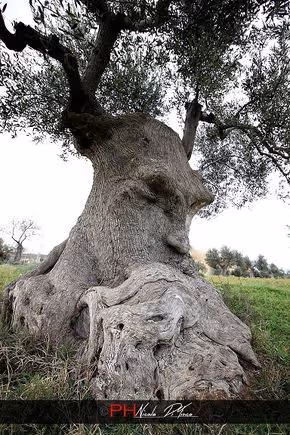 Wonders remains silent! - old