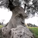 Wonders remains silent! - old