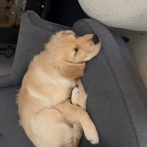 world - shine - shadow