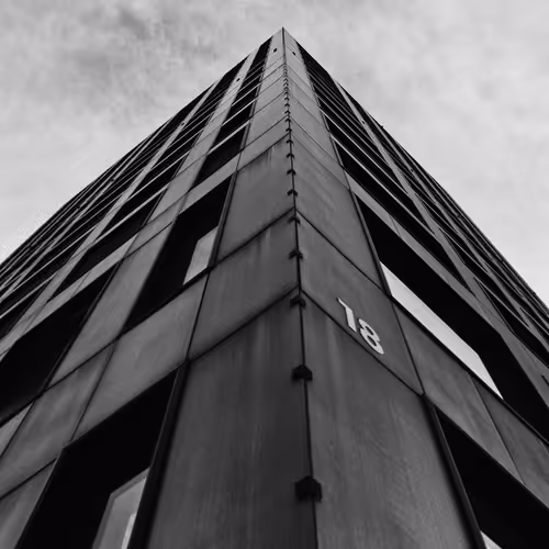 World In Monochrome