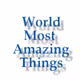 World Most Amazing things